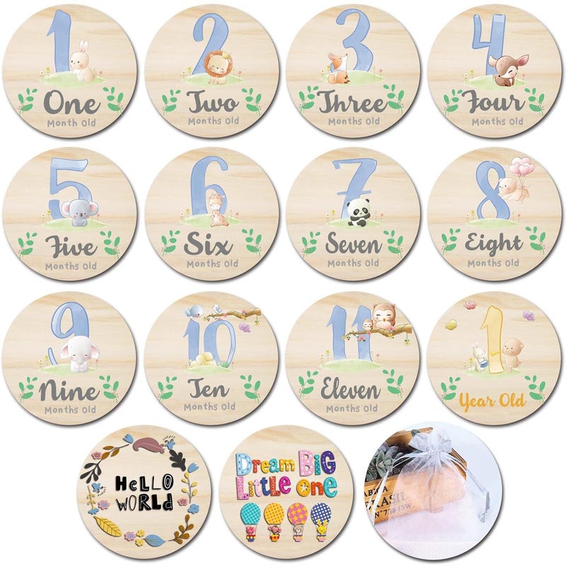 RORANIC Baby Monthly Milestone Cards for Newborn Girl or Boy,Monthly Baby Milestone Newborn Sign Baby Month Anniversary Cards,Baby Shower Cards Come with Organza Gift Bag (Milestone Blocks) - Image 1